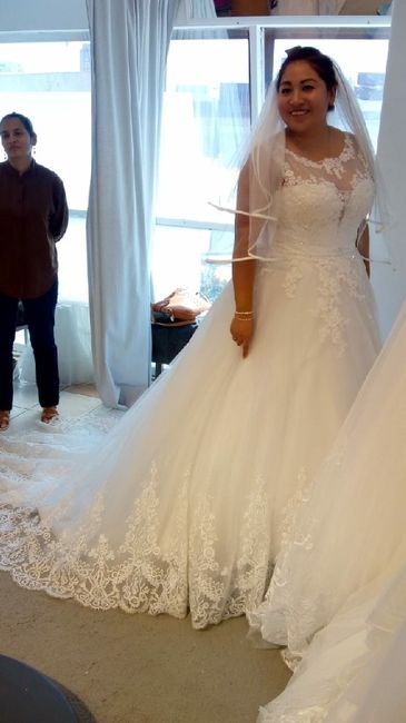 Ajuste de Vestido... a un mes del Gran Día - 1