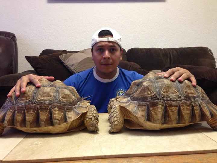 La foto de tu mascota! - 1