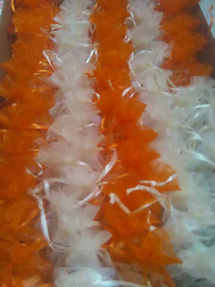 Avances a 87 dias de mi dia b - 2