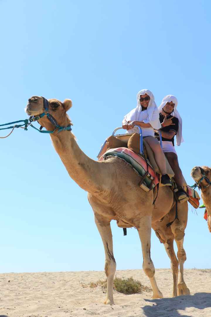 The life experience o circulo premier, ayuda - 1