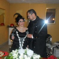 brindis