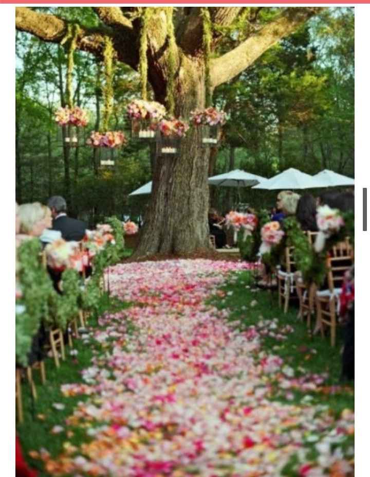 Resultados de ahora o nunca - 14