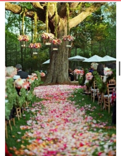 Resultados de ahora o nunca - 14