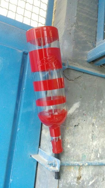Nuevos avances - 2