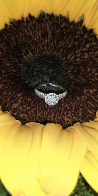 El anillo de compromiso 🤩 - 1