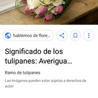 Cuál  es su flor favorita? 💐👰 - 1