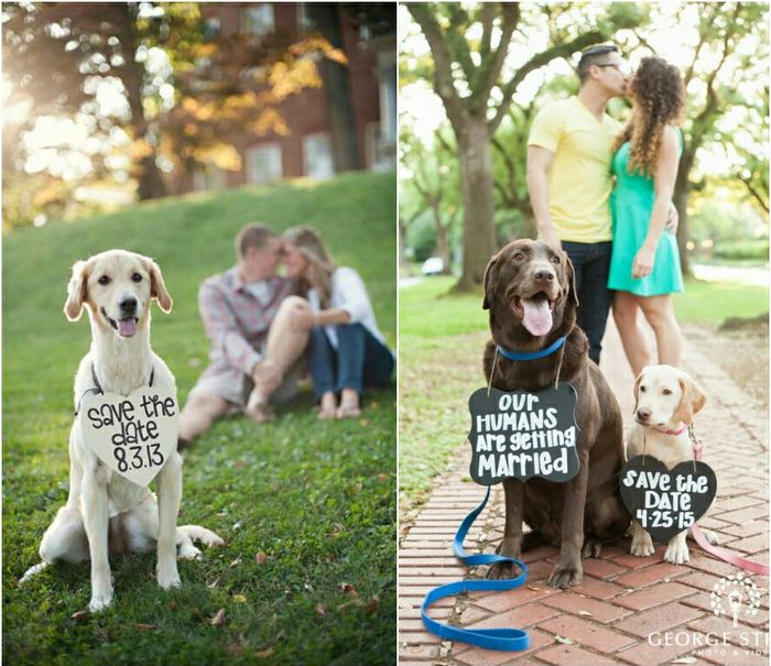 ¿Save the Date: dentro de un estudio o al aire libre? 1