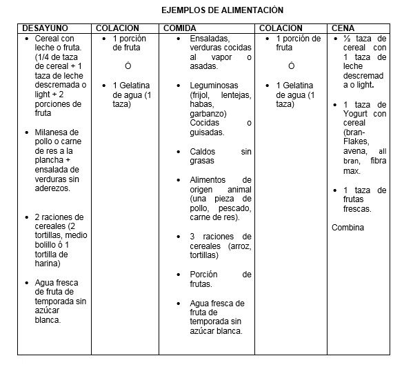 Ejemplo de un día de alimetación