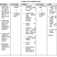 Ejemplo de un día de alimetación