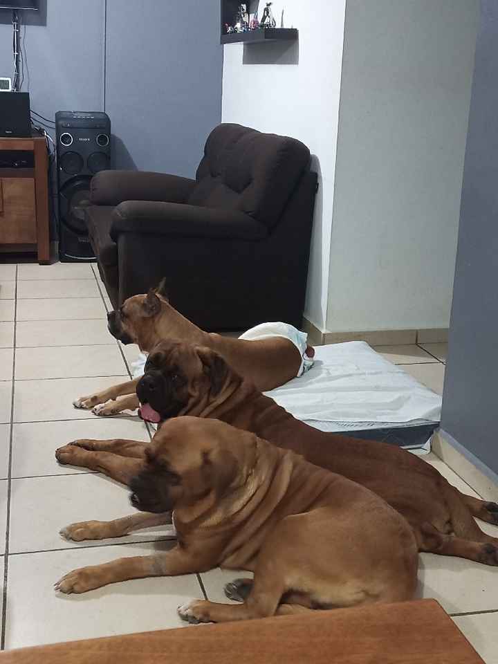 Sesión de fotos - 1