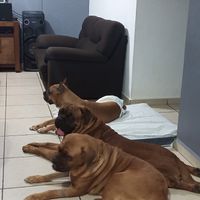 Sesión de fotos - 1