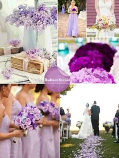 Combinaciones en "lila, blanco & morado" - 5