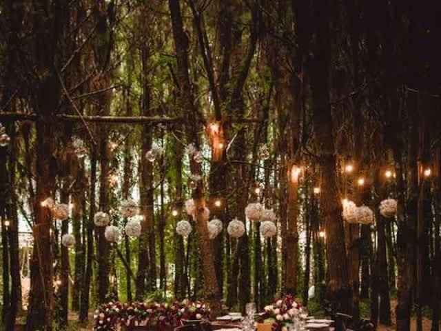 Boda en bosque ¿opciones? - 1