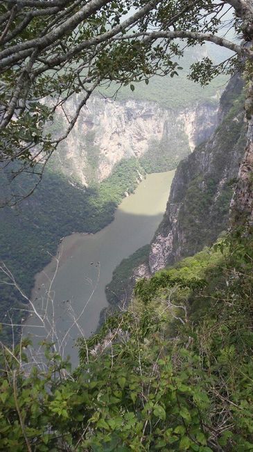 20 dias como Sr.&sra. - 8