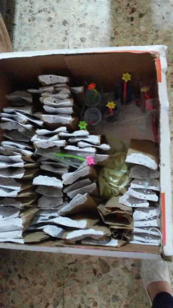 Vacaciones muy productivas!! - 3