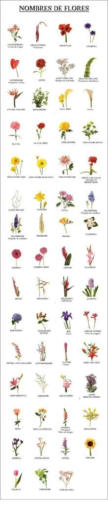 Flores para ramos !! - 1