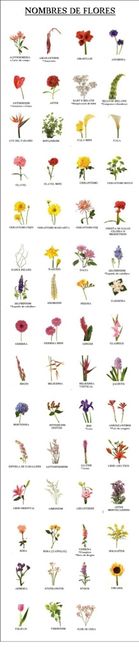 Flores para ramos !! - 1
