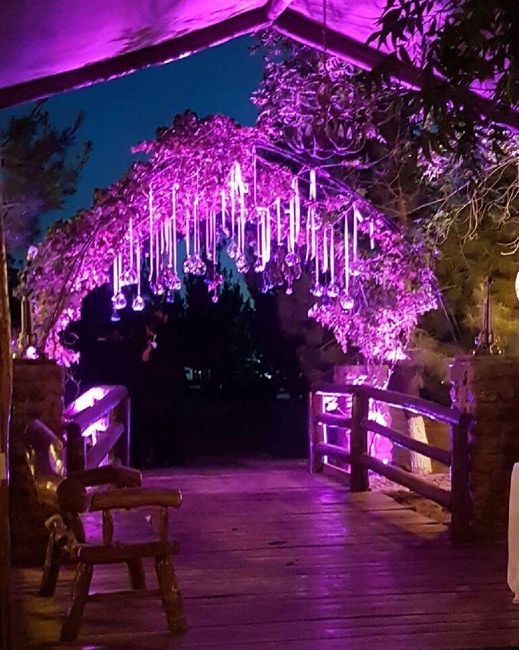 Mi agenda de boda- cecilia 2