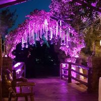 Mi agenda de boda- cecilia - 2