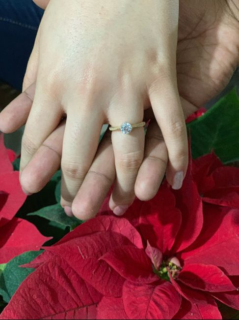 Catálogo de anillos de la Comu 19