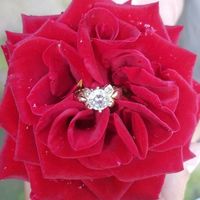 Muestren sus anillos chicas!! - 1