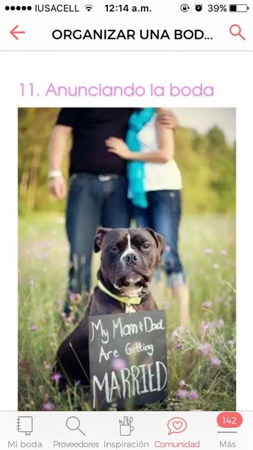 Alguna recomendación para incluir a mi perrito en la sesión previa de fotos/video - 1