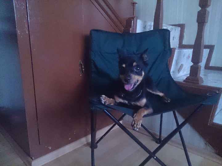 Triste 10 d Mayo  - 1