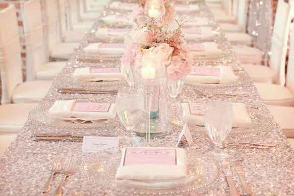 Combinacion de colores palo de rosa y plata - 6