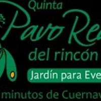 ¿Dónde celebrarás la recepción? - 1