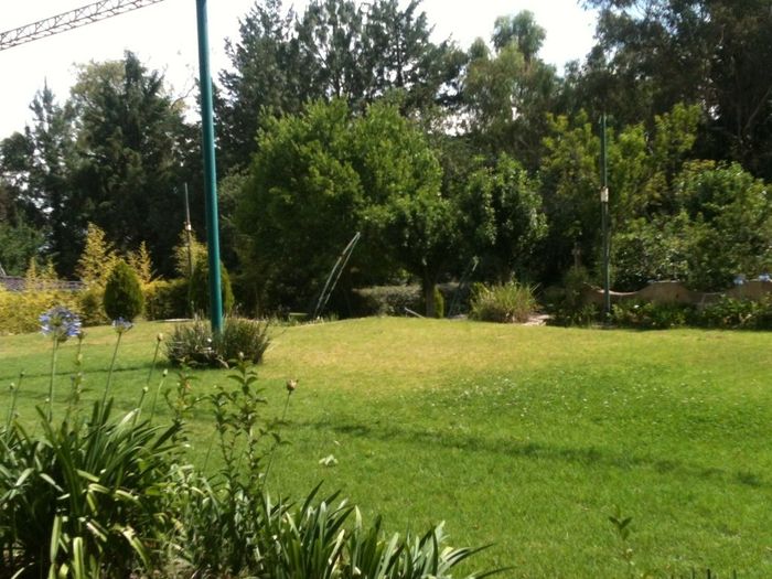 Les presento el jardín  - 2