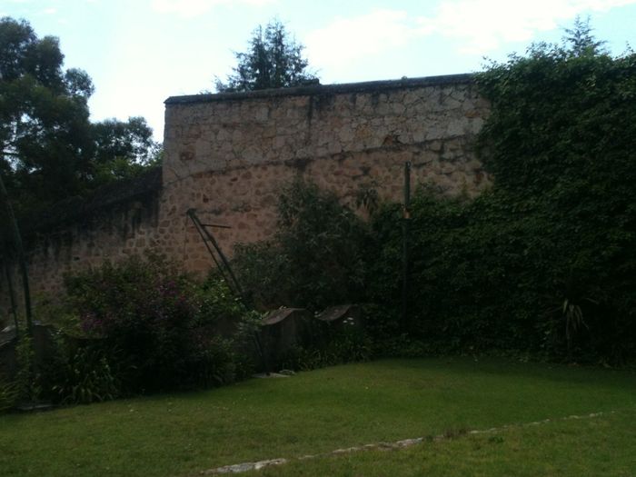 Les presento el jardín  - 3