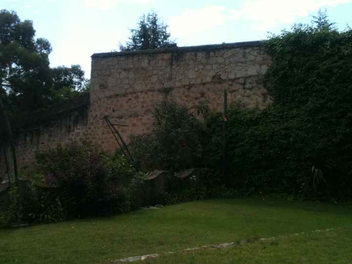Les presento el jardín  - 3