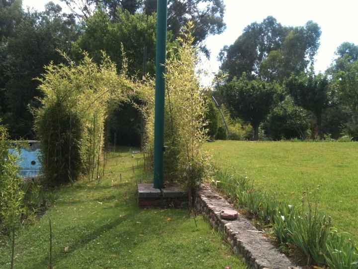 Les presento el jardín  - 4