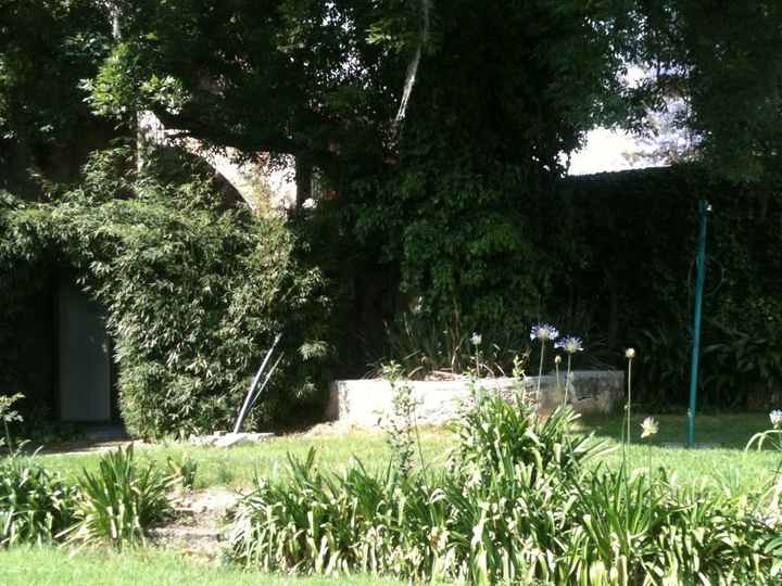 Les presento el jardín  - 5