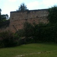 Les presento el jardín  - 3