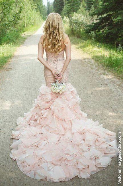 Te casarias de rosa? - 2