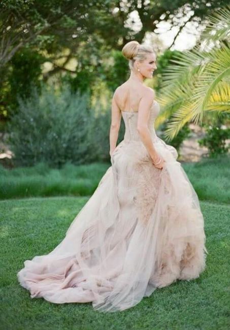 Te casarias de rosa? - 7