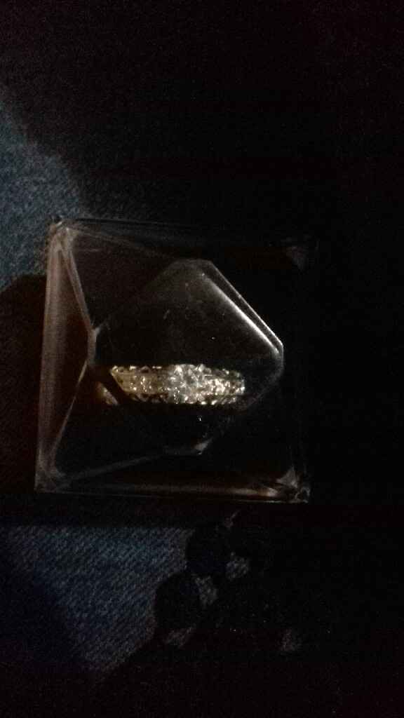 Me propuso matrimonio...otra vez!! - 2