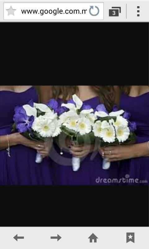 Qué color de vestido usarán sus damas???? - 6