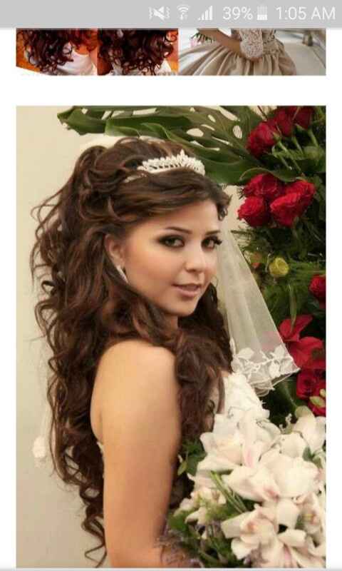 Peinado favorito - 1