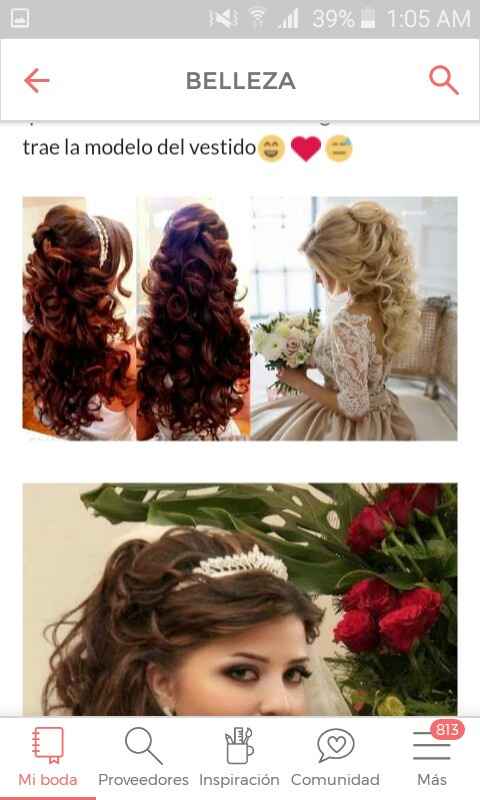 Peinado favorito - 2