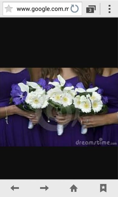 Qué color de vestido usarán sus damas???? - 6