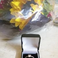 Mi Anillo De Compromiso. Cindy - 2