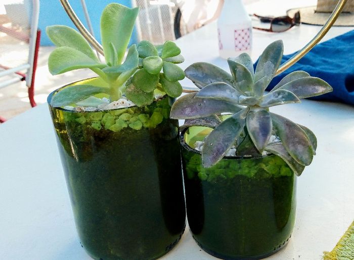 Desaliñado semi montaje de mesa :( 2