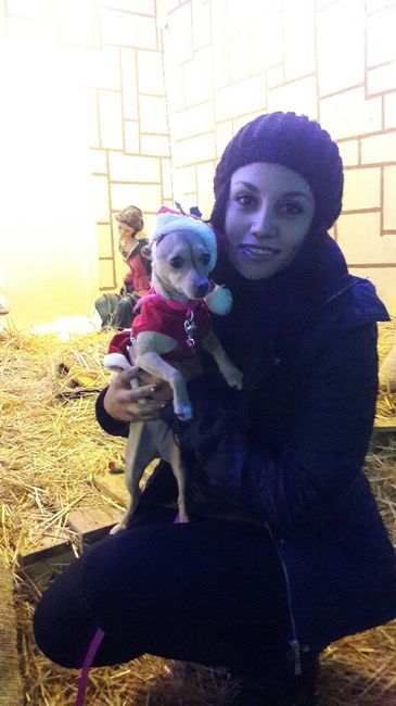 Cachorro en casa - 1