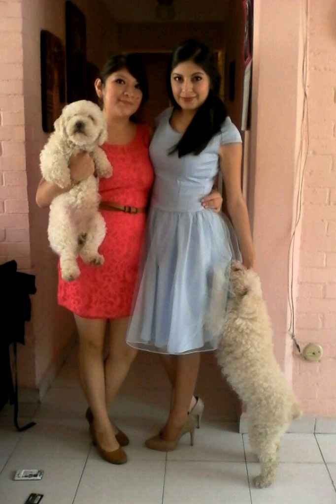 Recien casados (boda civil) - 4