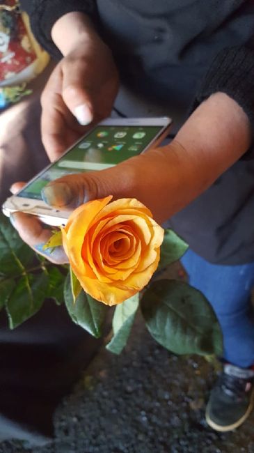 De todo un poco y a 5 días de mi gran día 2