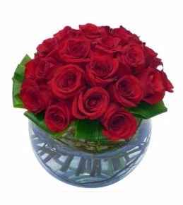 ROSAS