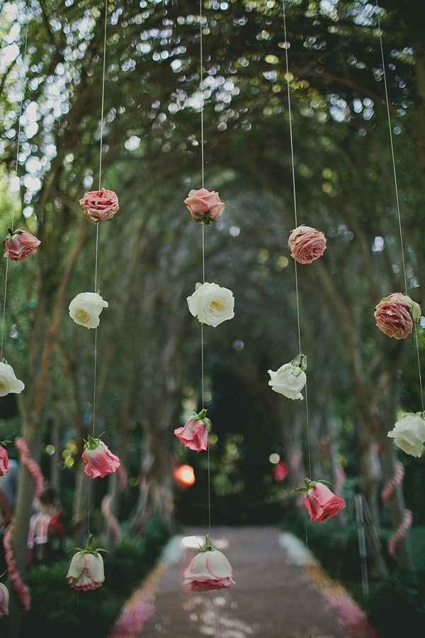 ROSAS