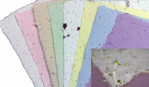 Papel semilla